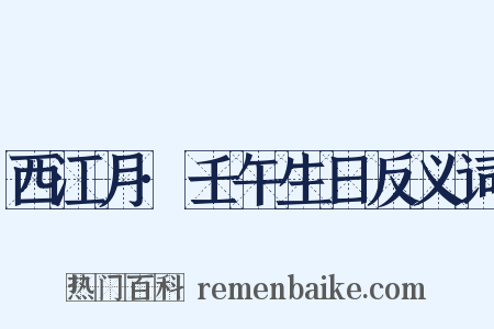 西江月·壬午生日反义词是什么意思的图片